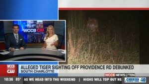 Alleged Tiger Sighting Debunked