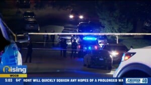Pineborough Road Shooting