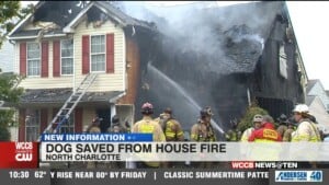 Dog Saved From House Fire