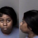 Destiny Sturdivant Failure To Appear In Court Shoplifting Concealed Goods