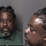 Paris Mcgurder Domestic Violence Protection Order