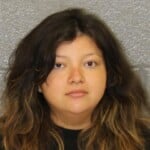 Greysi Benitez Larceny Of Motor Vehicle