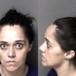 Stephanie Mcfadyen Probation Violation
