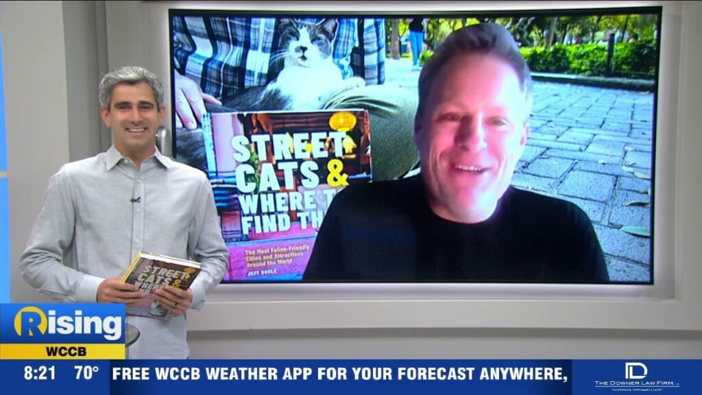 "street Cats & Where To Find Them" Out Now
