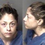 Taylor Dodgin Felony Serious Injury By Vehicle