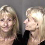 Sally Sheppard Larceny
