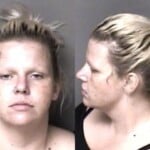 Terri Braswell Failure To Appear Oin Court