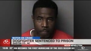 Local Dogfighter Sentenced To Prison
