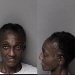 Gewndolyn Lane Probation Violation