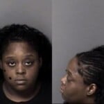 Alayza Jones Shoplifting Concealed Goods Second Degree Trespassing
