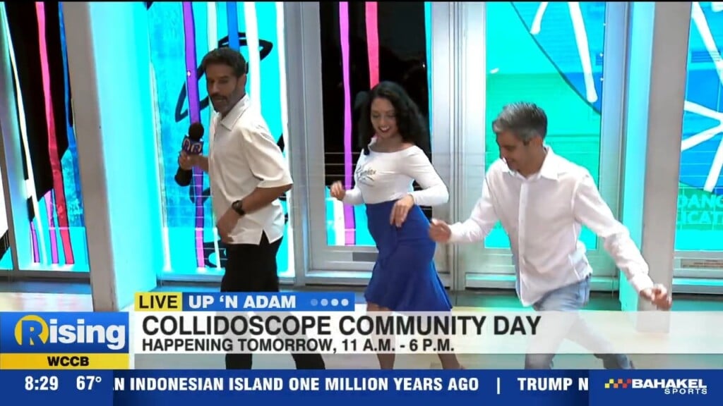 Up 'n Adam: Mint Museum Community Day + New Exhibitions