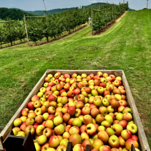 Screenshot 2025 08 21 At 53537pm