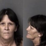Michelle Taylor Driving While Impaired Possess Schedule Vi Controlled Substance