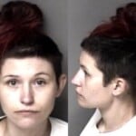 Krystyna Horne Probation Violation