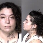 Alexis Gonzales Assault With A Deadly Weapon