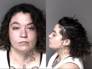 Alexis Gonzales Assault With A Deadly Weapon