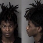Jahmez Mayo Larceny Motor Vehicle Larceny