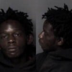 Quay Miles Larceny
