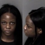 Tiffany Jackson Cruelty To Animals Animal Abandonment