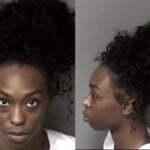 Jayla Marion Resist Public Officer Possession Of Stolen Motor Vehicle Obtain Property False Pretense