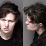 Tiffany Crisp Hit And Run No Tag No Insurance Dwlr Inspection Violation