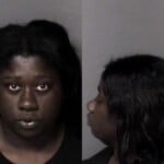 Melissa Hunter Failure To Appear In Court