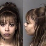 Anisha Chapman Failure To Appear In Court