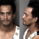 Mark Sale Dwi Reckless Driving Failure To Comply