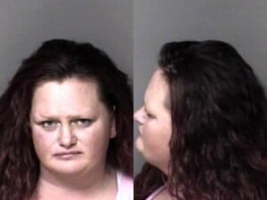 Amy Carroll Habitual Larceny