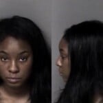 Amara Khalfani Assault And Battery