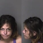 Hanna Hanline Failure To Appear Court