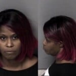 Carina Foster Dwi Dwlr Not Impaired Rev Malcious Conduct By Prisoner Assault Government Official
