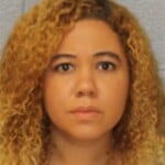 Dimarie Henriquez Fleeelude Arrest Wmv Resisting Public Officer