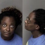 Deshunda Staton Hitrun Leave Scene Property Damage