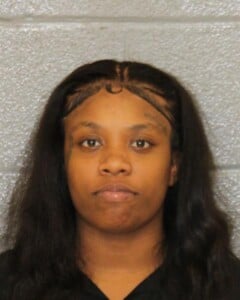 Travionna Swift Fugitiveextradition Other State Driving While Impaired Reckless Driving To Endanger Resisting Public Officer Assault Govt Officialemply Open Container Alcohol Viol