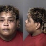 Nickomi Perez Larceny Employee