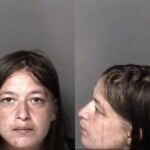 Brittany Carver Probation Violation