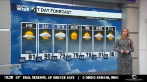 Summer Pattern Returns