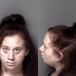 Amber Jines Conspiracy Larceny