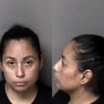 Jenny Alvarez Failure To Appear In Court