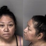 Elvia Sierra Misd Crime Of Dom Violence