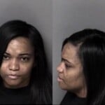 Cecila Love Habitual Larceny