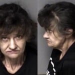 Rhonda Shepard Possession Of Meth Second Degree Trespassing Possession Of Drug Paraphernalia