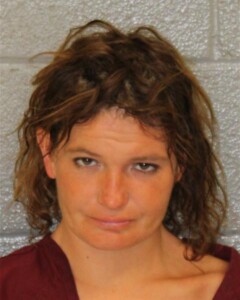 Jessica Vestal Assault Injury To Real Property