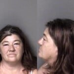 Melanie Brummitt Theft Financial Card Financial Identity Fraud Obtain Property False Pretense