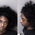Paradise Dillard Misdemeanor Domestic Violence Injury To Personal Property