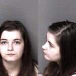 Shelby Ollis Failure To Report Accident