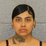 Geraldyn Meza Larceny