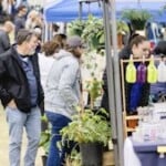 Ballantyne Farmers Market