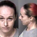 Keisha Burris Felony Hitrun Dwlr
